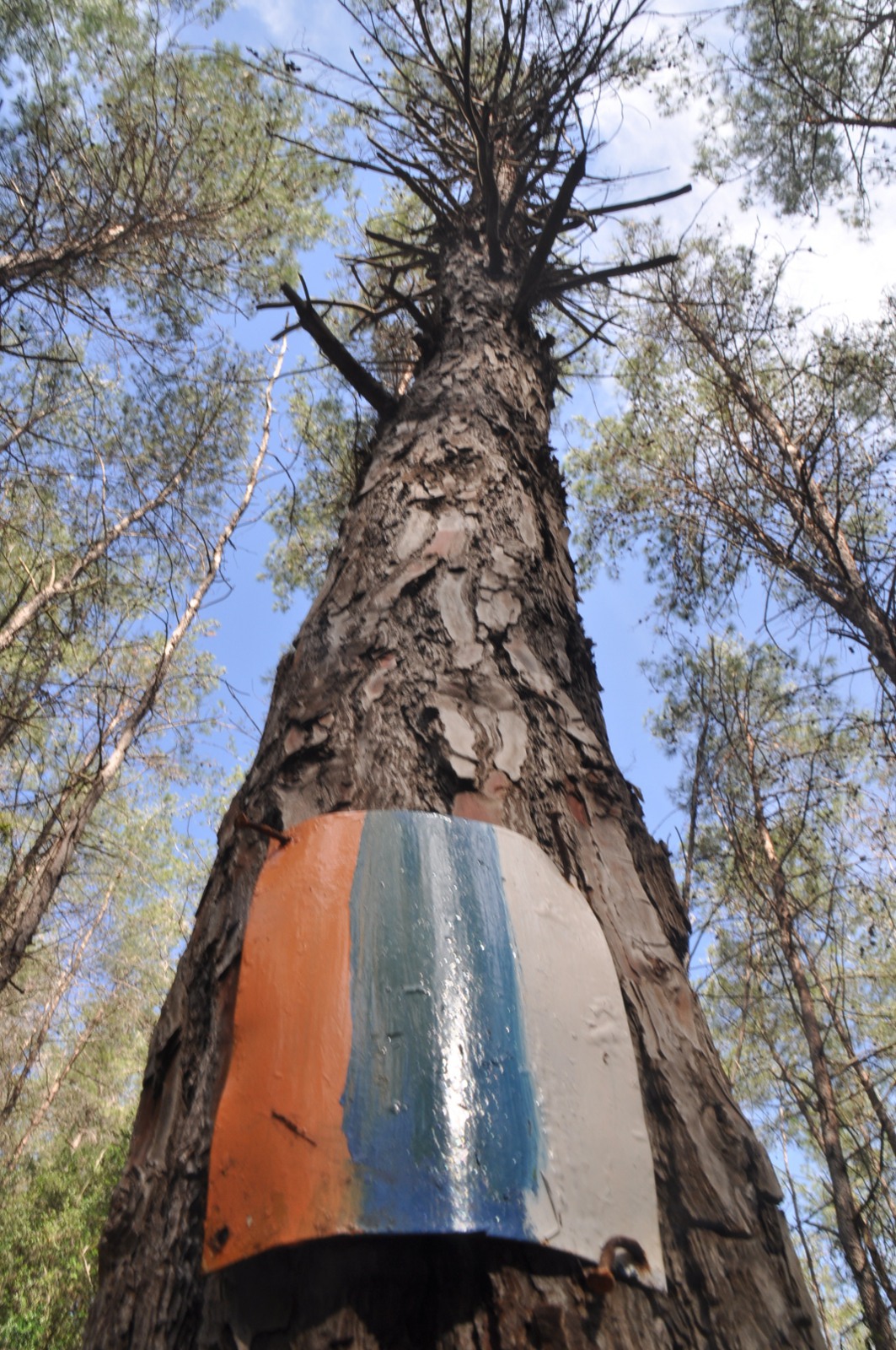 Israel National Trail: Five-Day Highlights