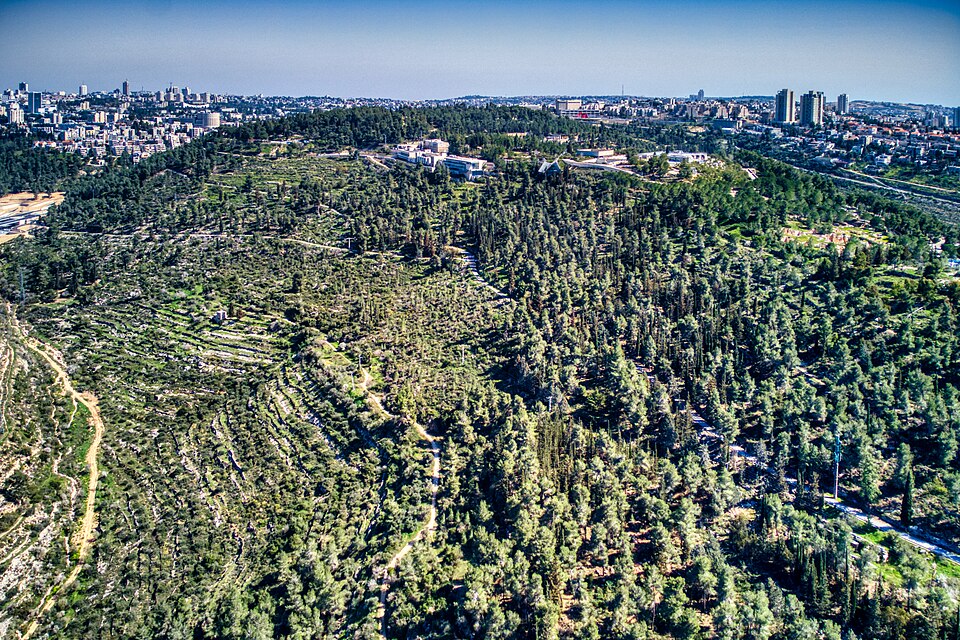 הר הרצל ויד ושם