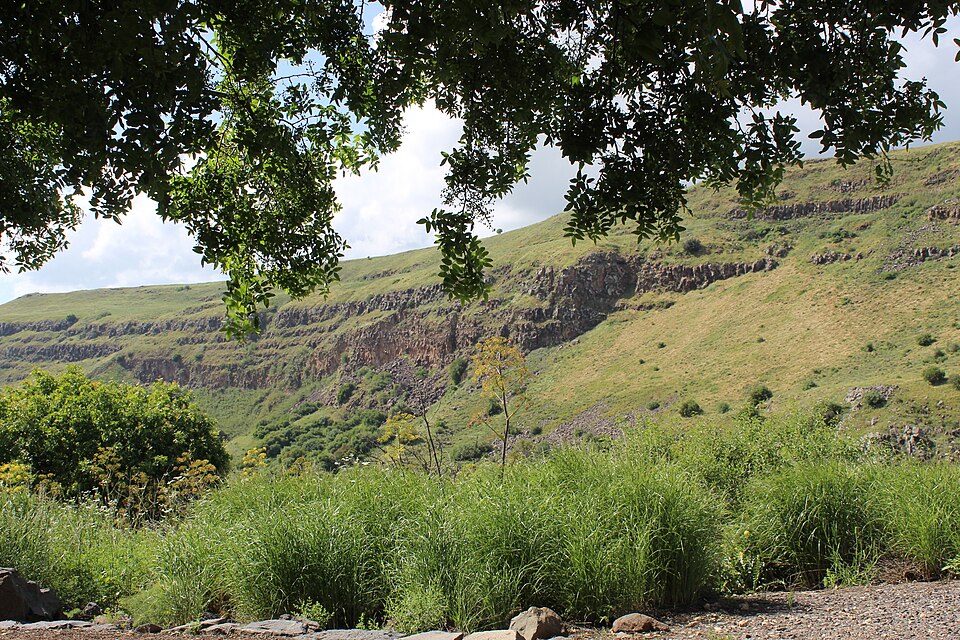 Gamla: The Fallen City, the Vultures and the Waterfall