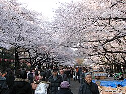 Into Ueno Park