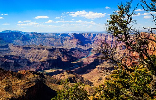 Arizona