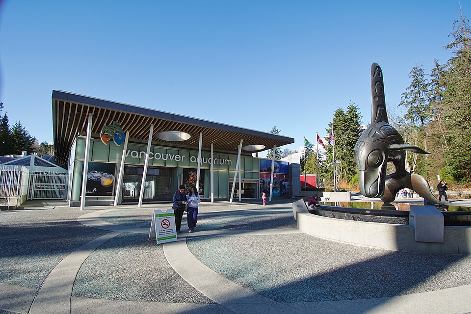 Vancouver Aquarium: The Pacific Coast Under One Roof