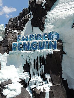 Antarctica & the Lagoon Shows