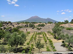 The casts — Garden of the Fugitives