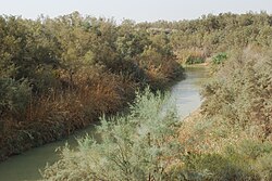 Paradise Springs & the head of the Dan