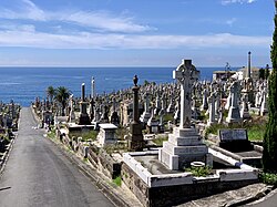 Bronte to Waverley Cemetery