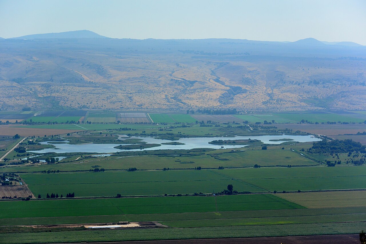 Agamon Hula — The Cranes of the Hula Valley