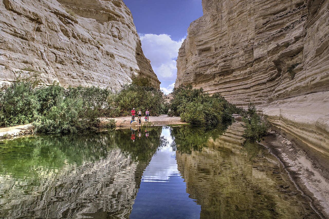 Ein Avdat: The White Canyon of Zin