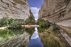 Ein Avdat canyon