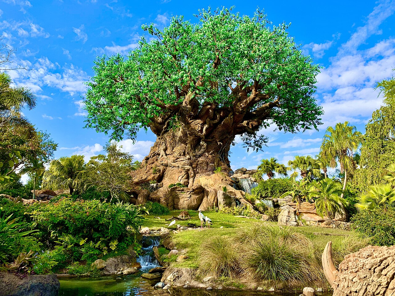 Disney's Animal Kingdom: Half Zoo, Half Theme Park, Entirely Its Own Thing