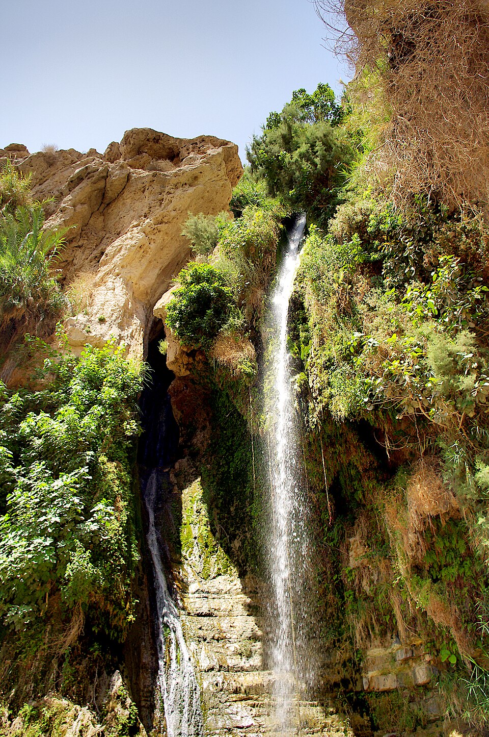 Ein Gedi Nature Reserve: Nahal David and the David Waterfall