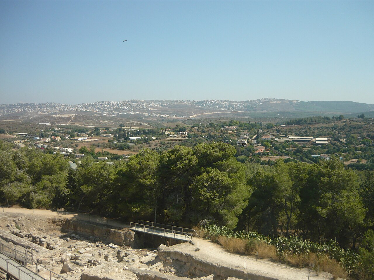 Zippori: Mosaics of the Roman Galilee