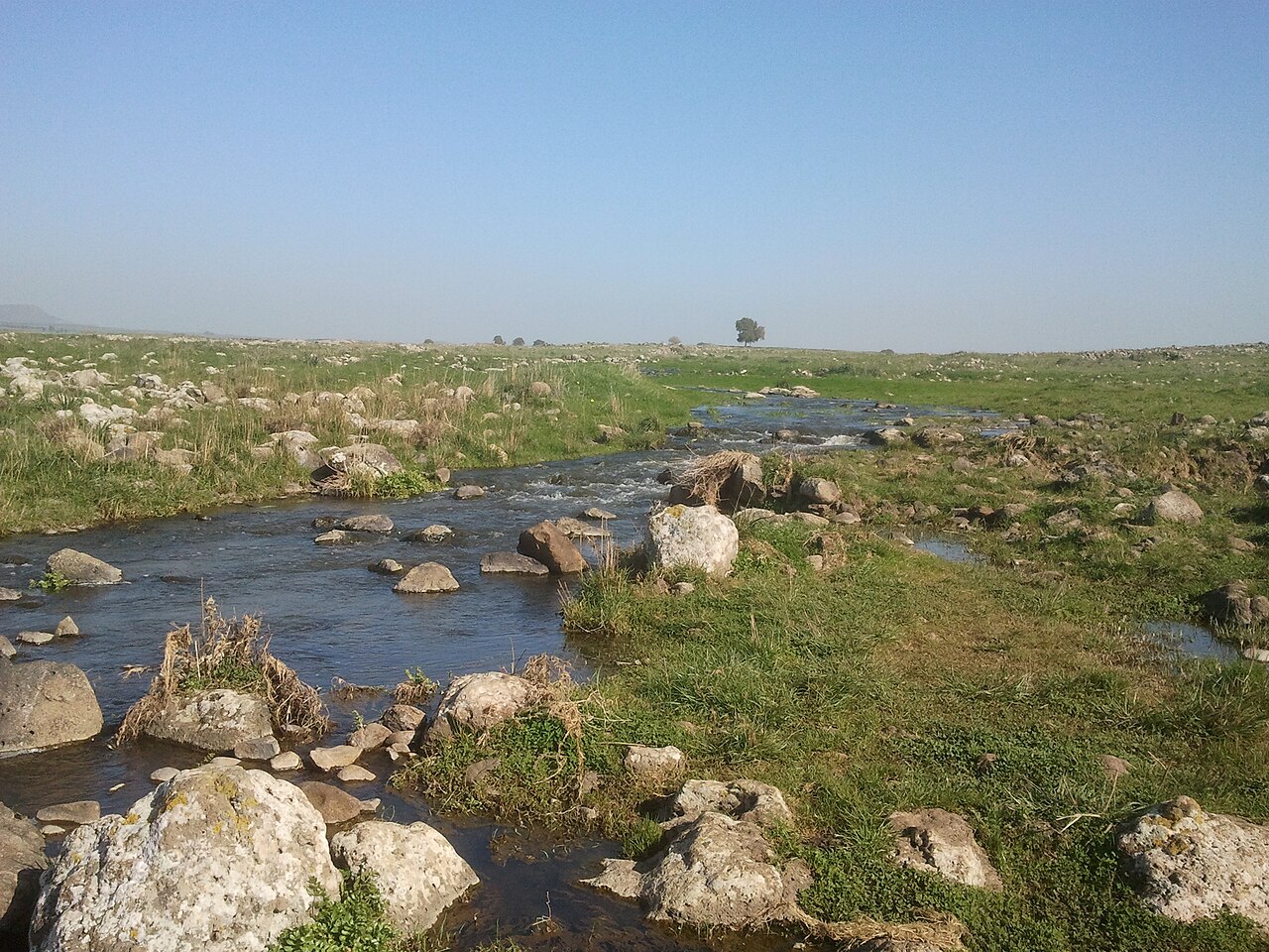 Nahal Yehudiya — The Canyon, the Ladder and the Swim