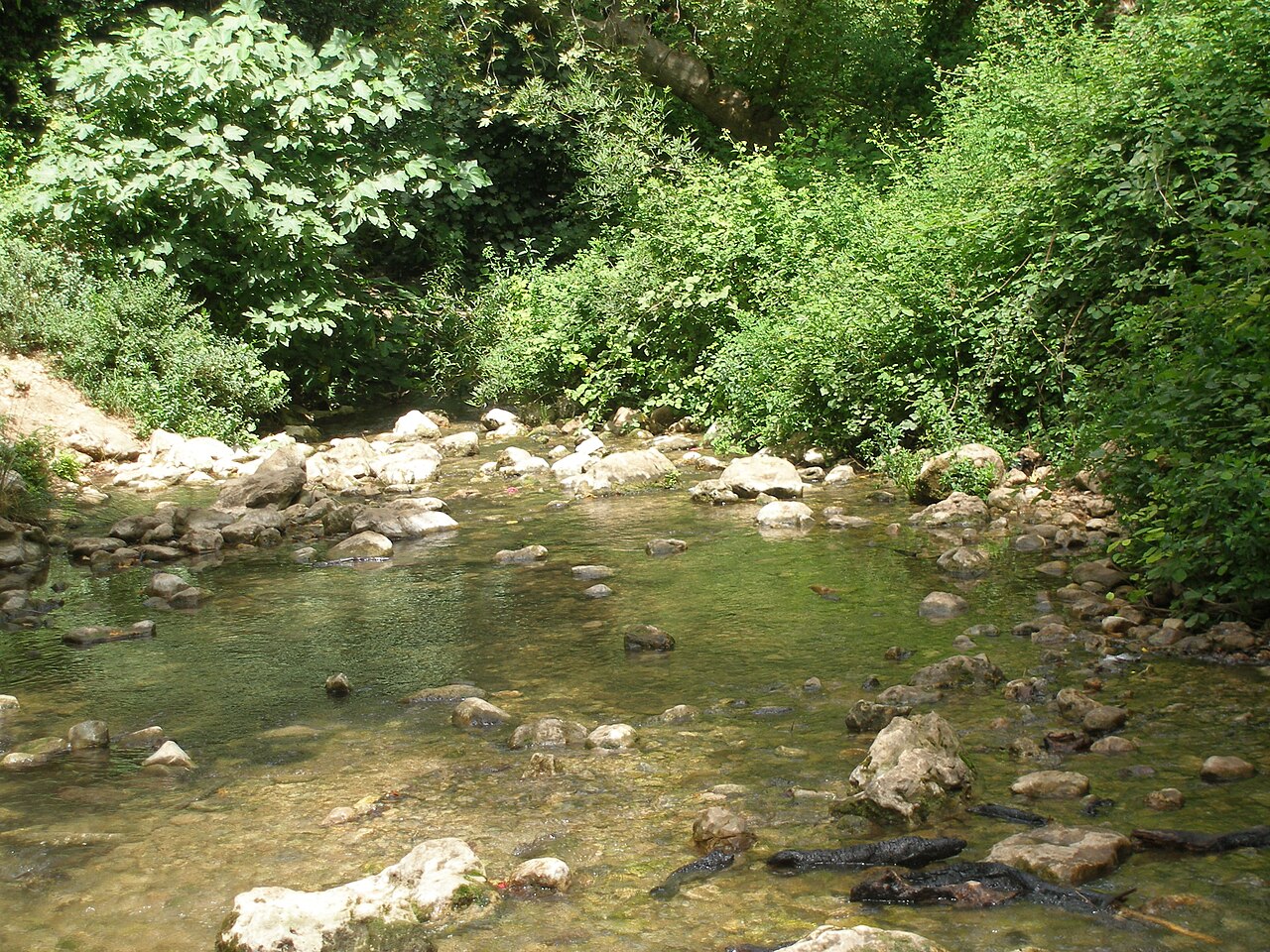 Nahal Kziv and Montfort Castle
