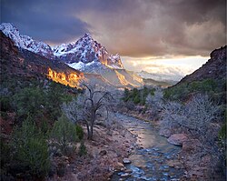 Into the river to Orderville Canyon