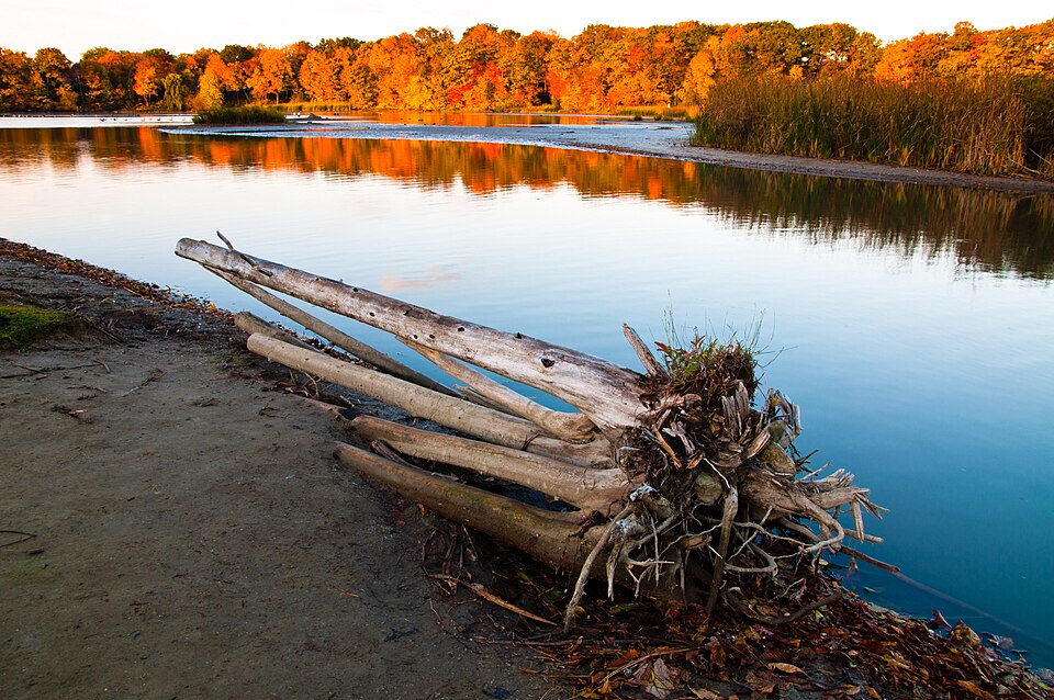 Rouge National Urban Park: Vista and Mast Trails