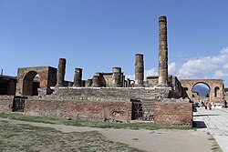 The Forum