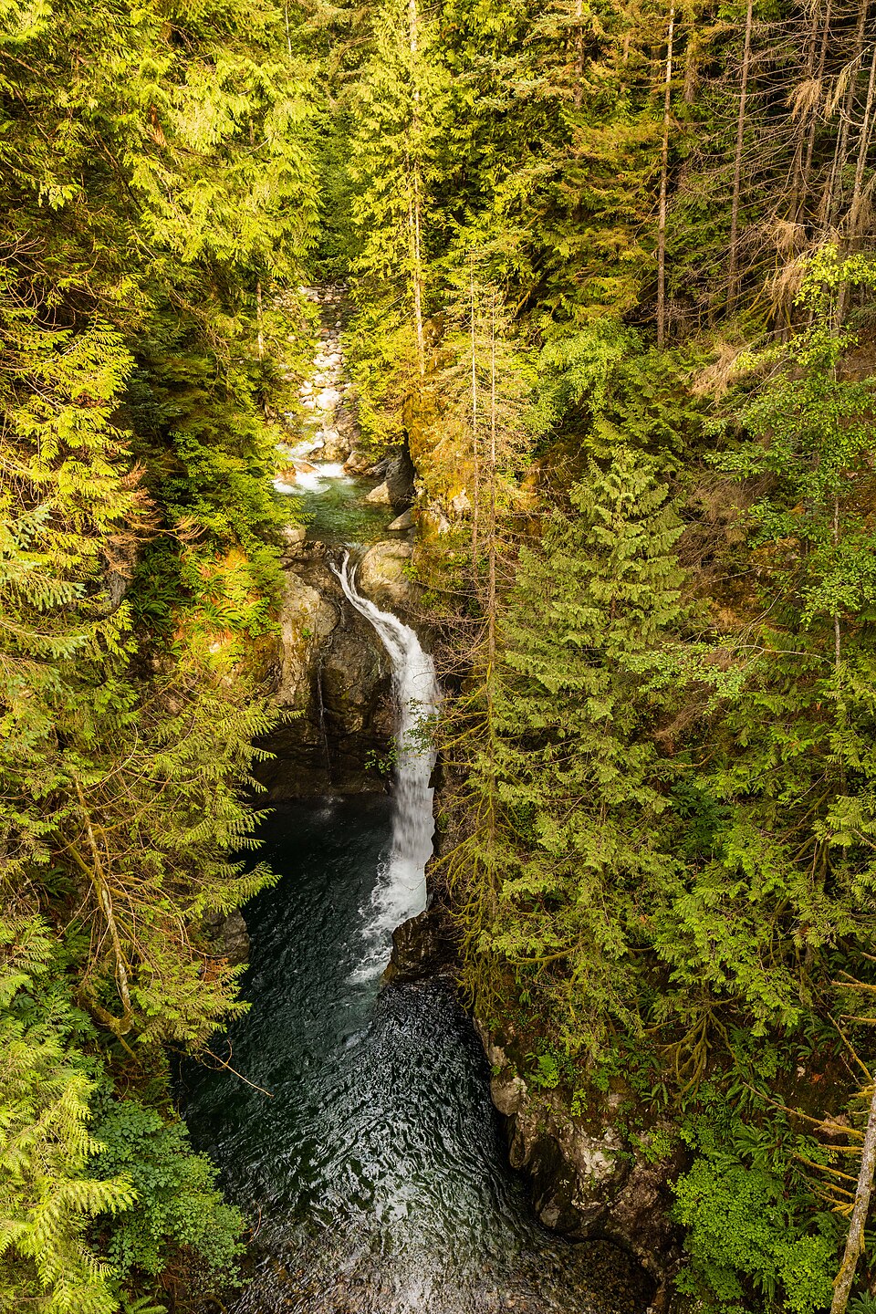 Lynn Canyon: Suspension Bridge, 30 Foot Pool and Twin Falls