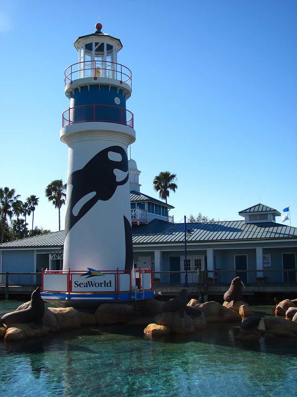 SeaWorld Orlando: The Coaster Park That Keeps Whales